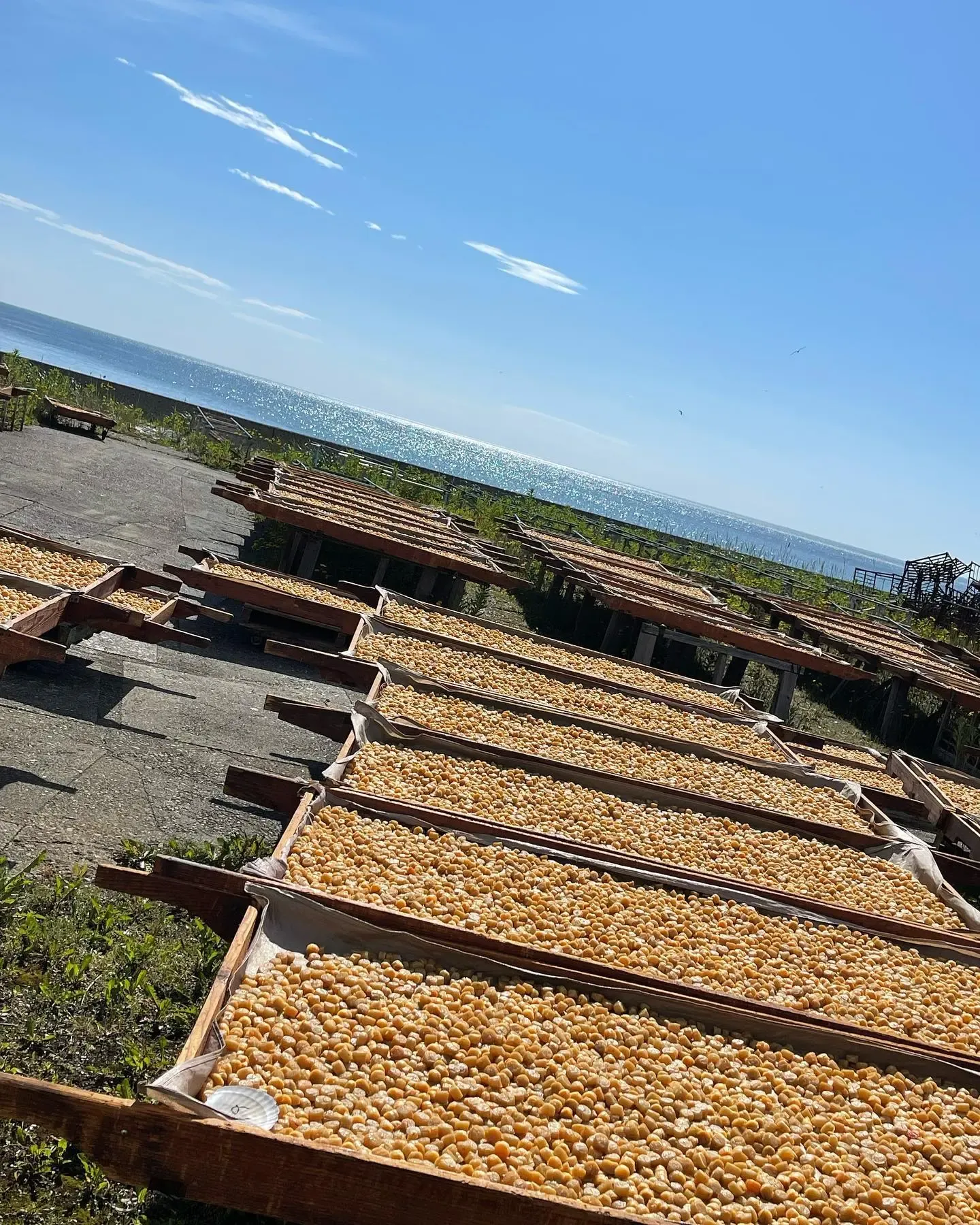 有限会社 丸芳 能戸水産 Instagram画像8